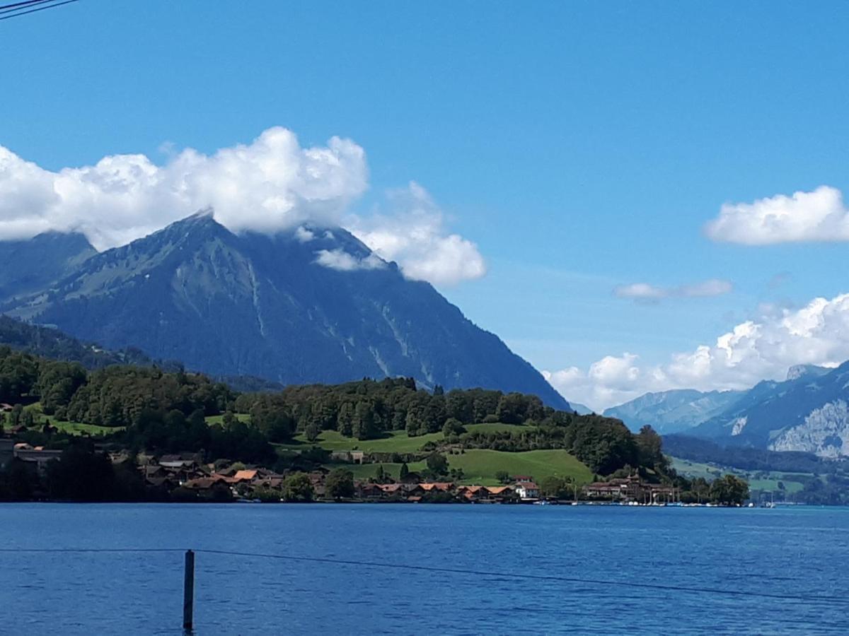Berner Oberland Am Thunersee Darligen Bagian luar foto