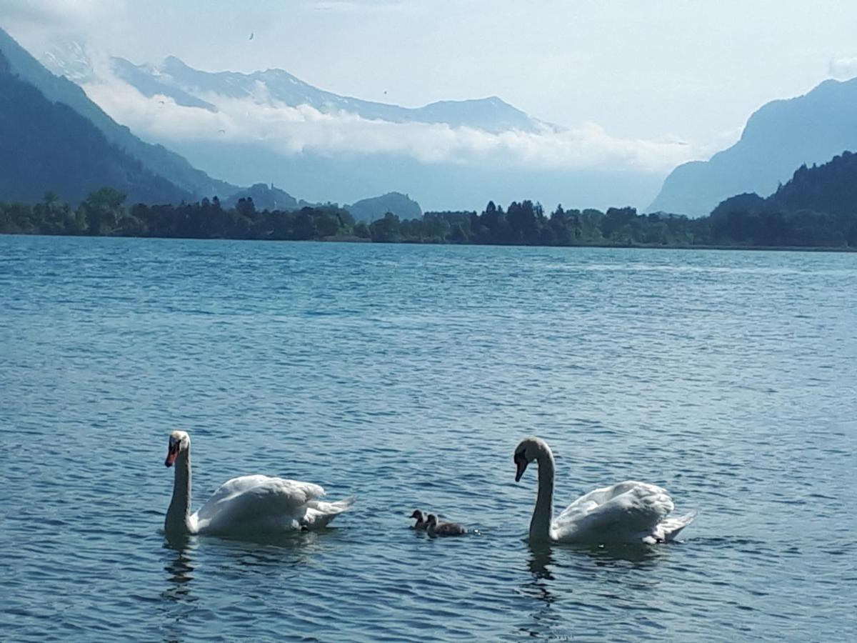 Berner Oberland Am Thunersee Darligen Bagian luar foto