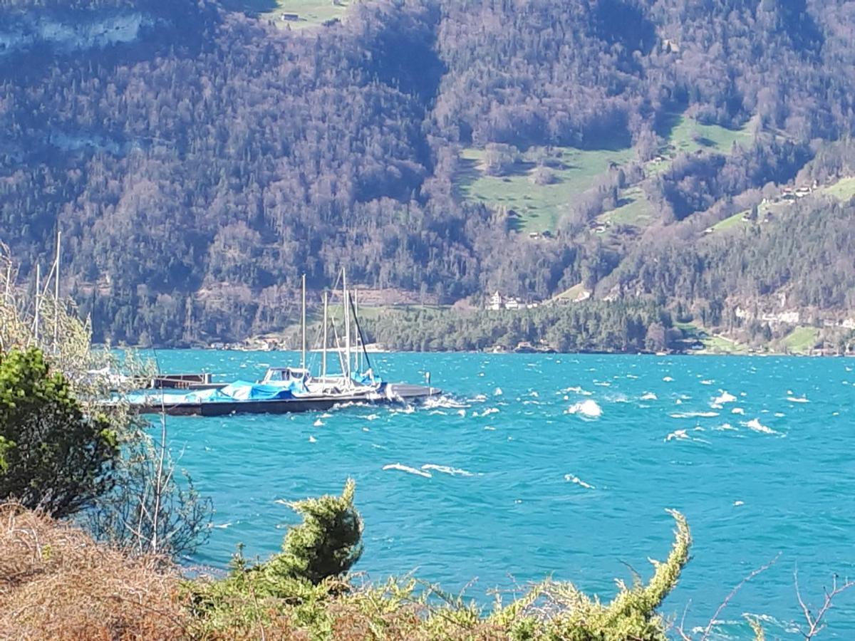 Berner Oberland Am Thunersee Darligen Bagian luar foto